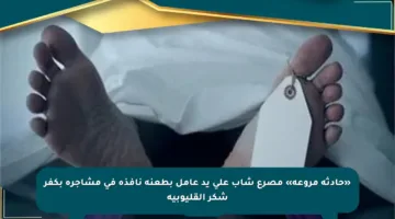 «حادثة مروعة» مصرع شاب على يد عامل بطعنة نافذة في مشاجرة بكفر شكر القليوبية
